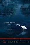 天鹅湖形象广告