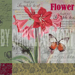 欧美花卉装饰画