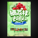 荔枝海报