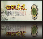 信阳毛尖