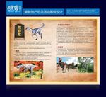 恐龙展板图片