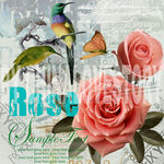 欧美风格装饰画