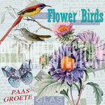 欧美花鸟装饰画