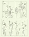 移门花纹