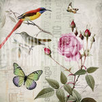 欧美花鸟装饰画