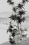 水墨竹子玄关