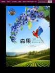 蓝莓广告