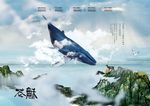 地产广告