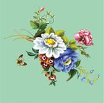 蝴蝶 花