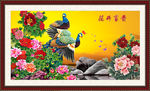 国画孔雀图