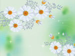 梦幻花朵
