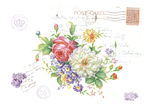 手绘花卉  装饰画