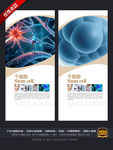 干细胞抗衰老