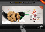 五倍子 中药 中国风