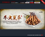 冬虫夏草图片