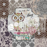 卡通猫头鹰装饰画