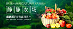 农业banner