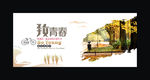 致青春海报