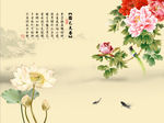 国色天香牡丹花竹子