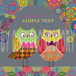 卡通猫头鹰装饰画