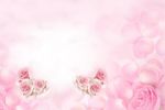 玫瑰花底纹