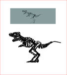 恐龙骨架矢量图