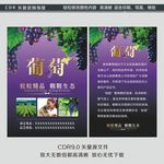 葡萄