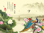 国色天香牡丹花