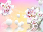 梦幻百合花倒影