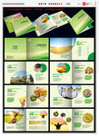 农业画册  农贸画册 蔬菜画册