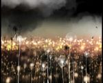 led午夜梦境背景