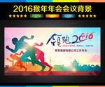 2016 年会