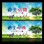动物世界 保护野生动物
