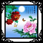 富贵牡丹
