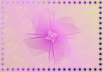 紫花情怀 商业证书纹