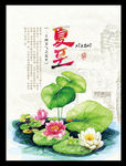 夏至二十四节气