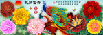 十字绣钻石画花开富贵孔雀牡丹