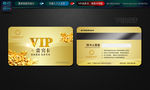 高档VIP 会员卡 设计