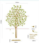 我的白杨树 墙贴 矢量 素材