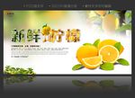 新鲜柠檬