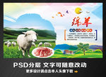 绵羊