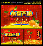 永春芦柑