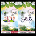 梨花节