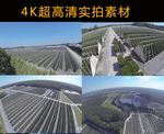国外大棚蔬菜