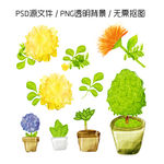 花盆里的花卉素材
