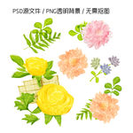 花卉绿叶植物素材