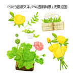 手绘玫瑰花与花卉