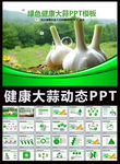绿色健康大蒜ppt动态模板