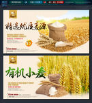 麦粉 小麦