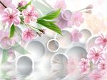 3D梦幻花倒影
